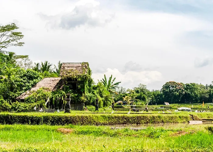 Resort Tanada By Amithya - Brand New Opened 2026 Ubud